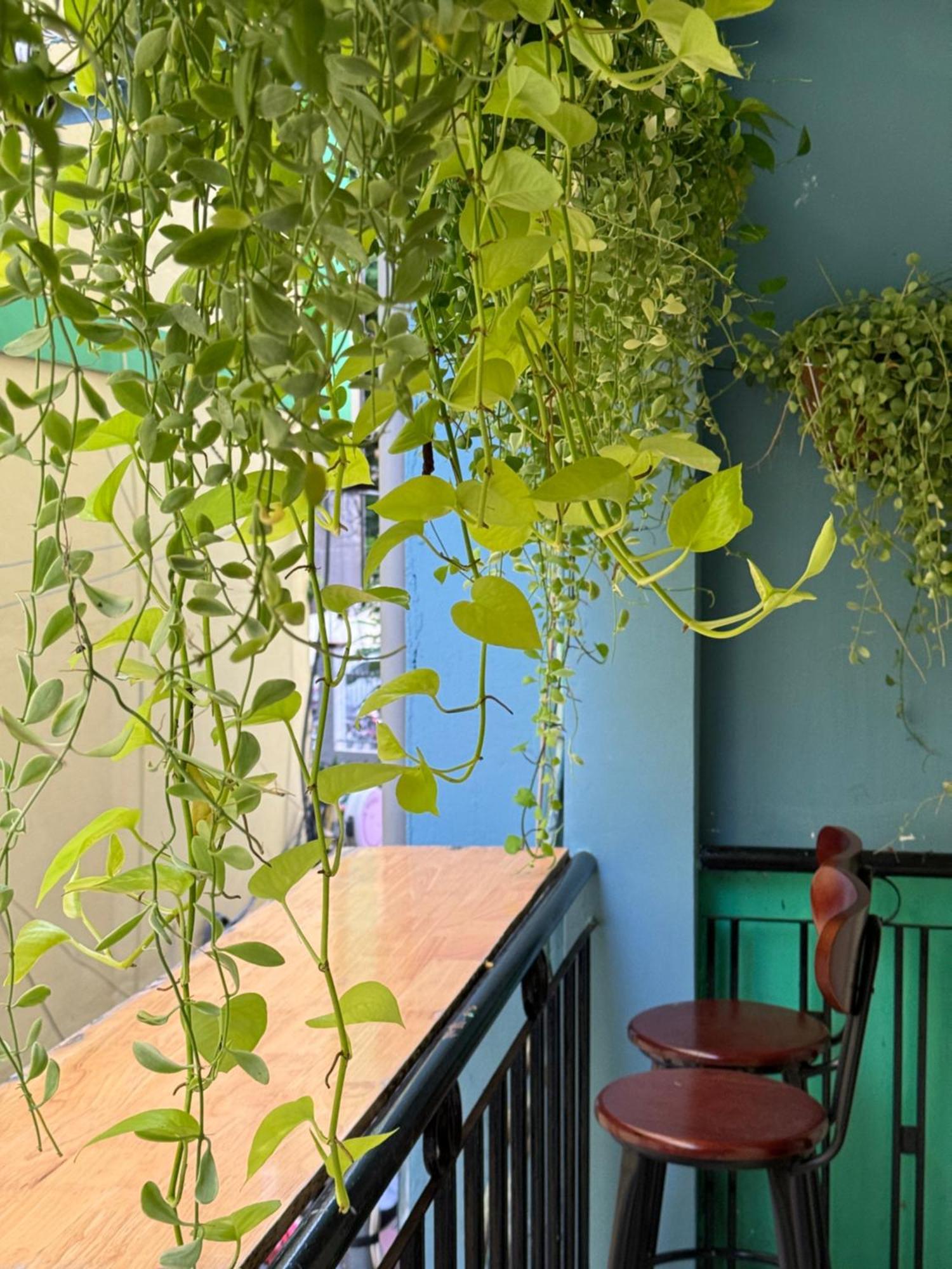 The Rustic Home مدينة هوشي منه المظهر الخارجي الصورة